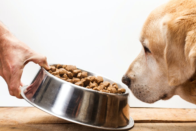 Top 10 Best Diets For Large Size Dogs In 2020 (Premium And Super Premium Adult)