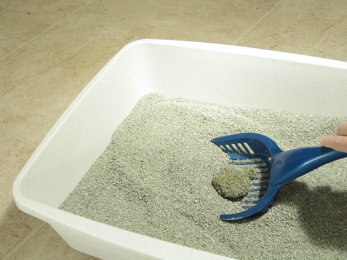 Top 10 Best Sand Boxes For Cats To Buy In 2020